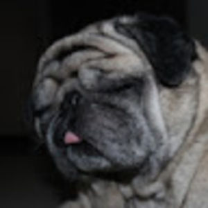 Meet your Posher, Dhruv